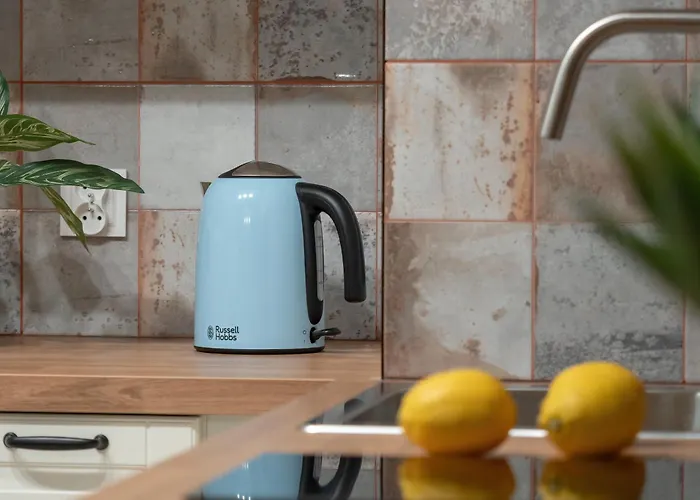 公寓 Modern Wroblewskiego With Balcony And Free Parking By Renters 罗兹